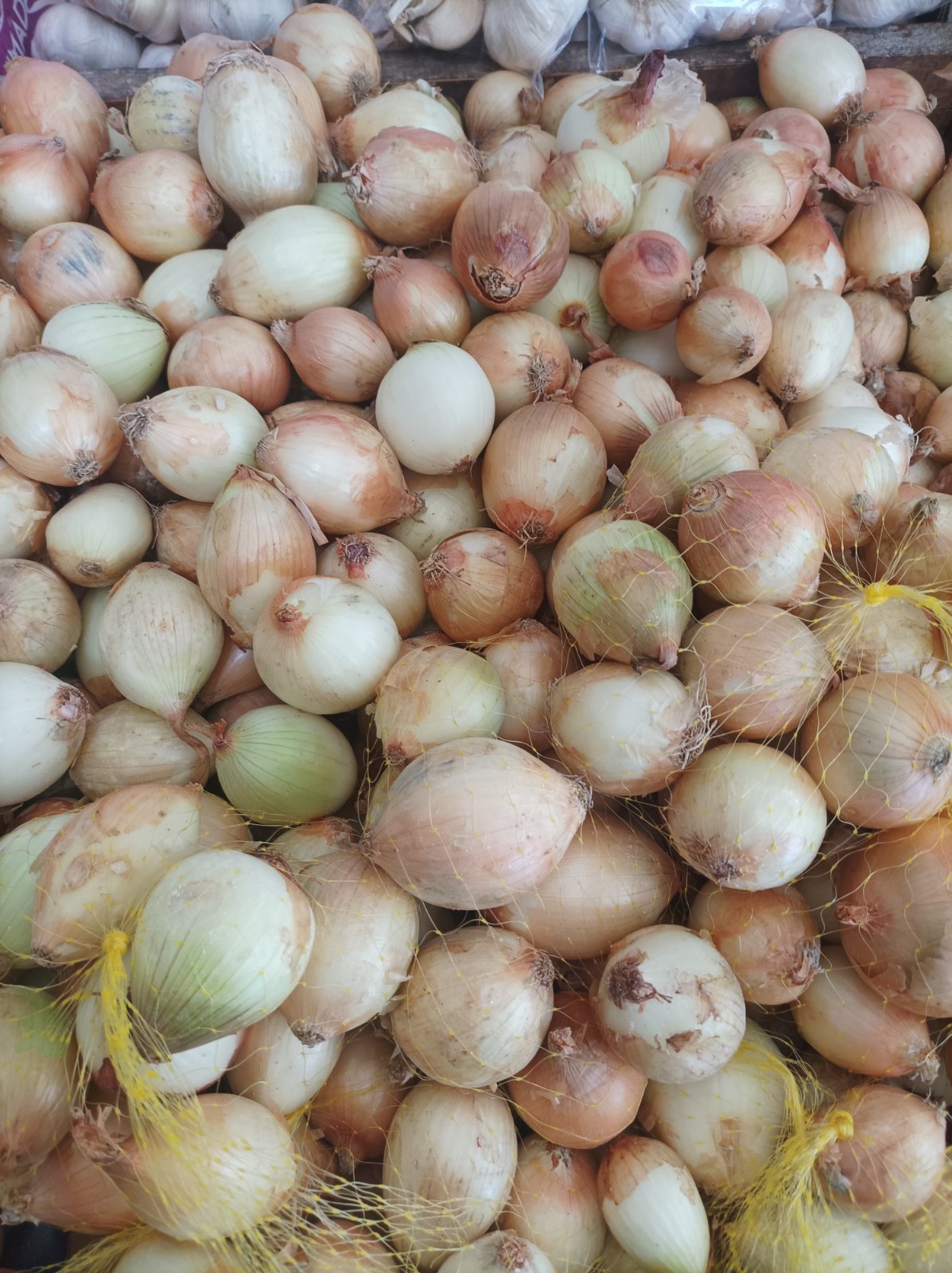 Cebola branca