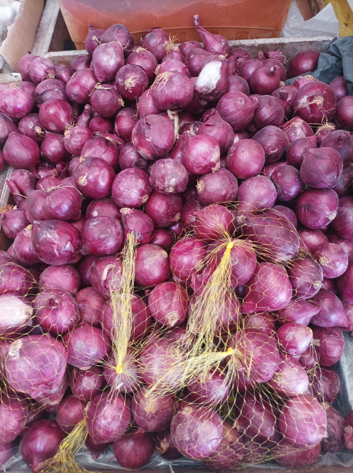 Cebola roxa