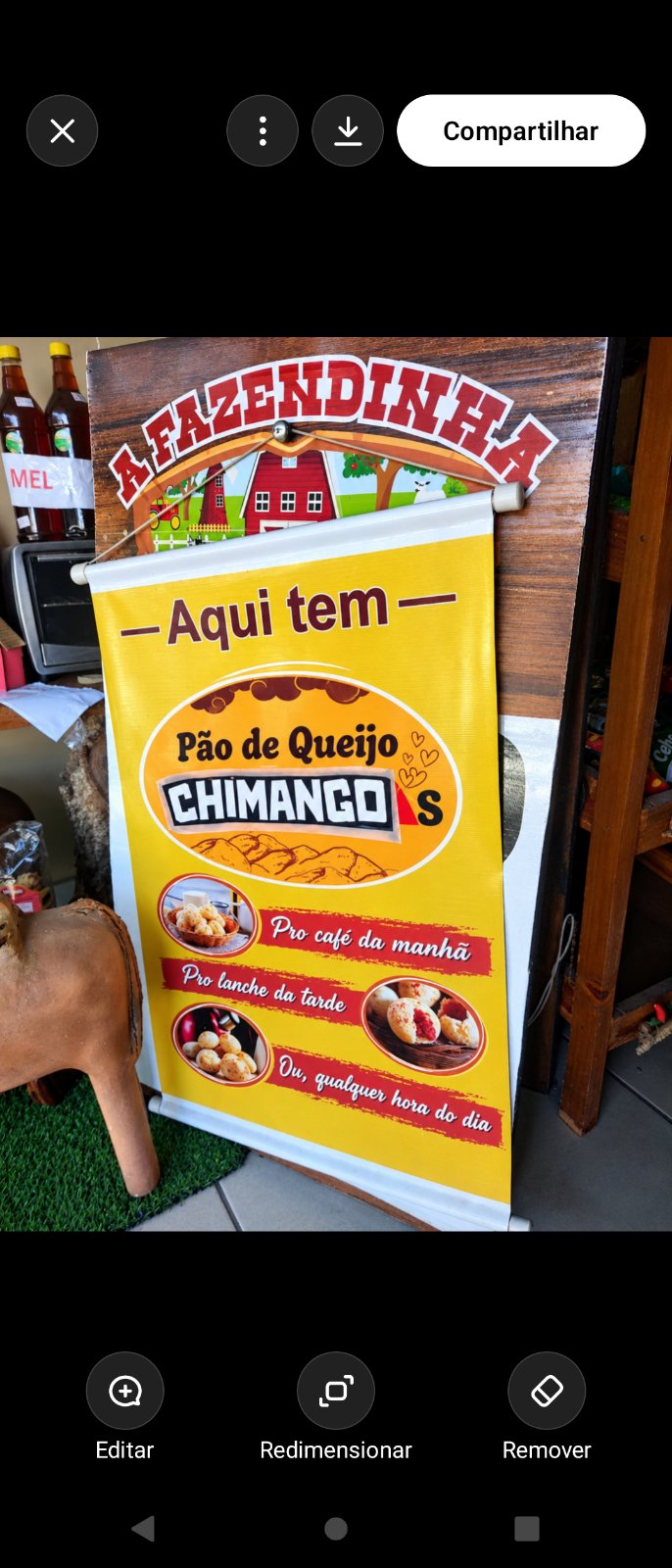 Chimango congelado