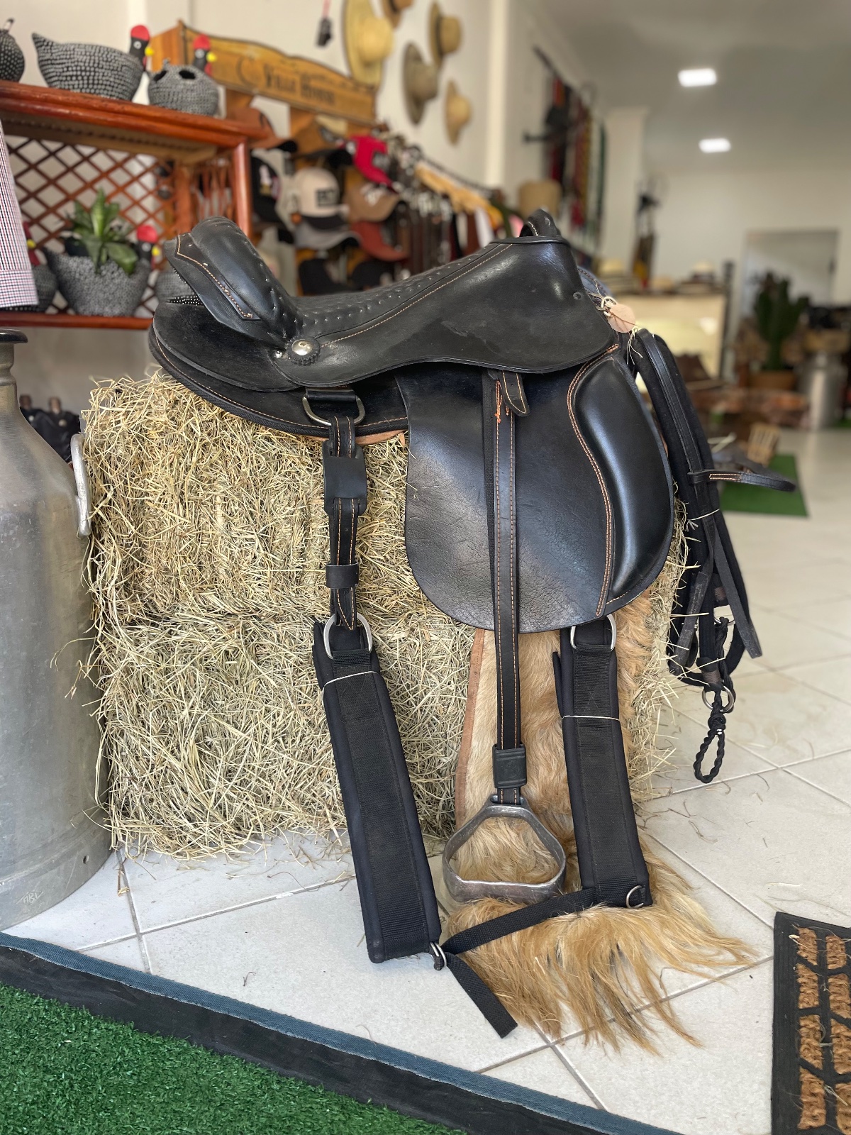 Sela australiana